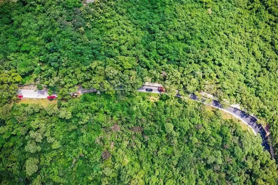 深圳十大免费少人知可以观海的公园