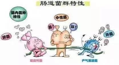 益生菌要吃多久效果更好？