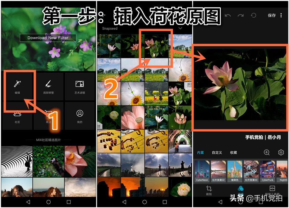 拍的荷花太普通？教你手机后期调出“高级橙”｜秒变美