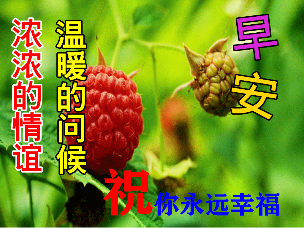 深秋晨光美如画，11月6日早安祝福动态图集来袭
