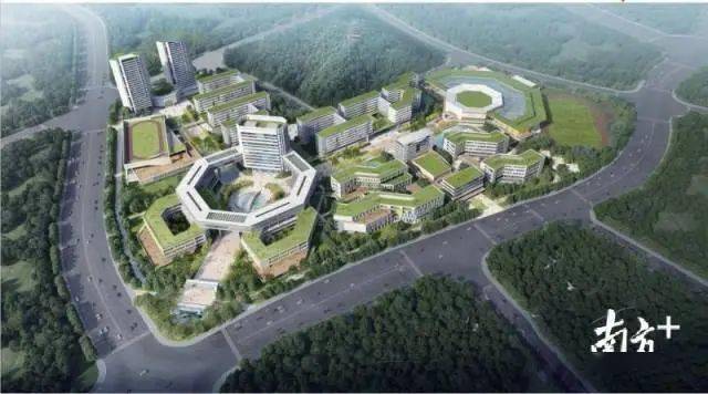 华附与华师附？广佛上学一文清晰区别