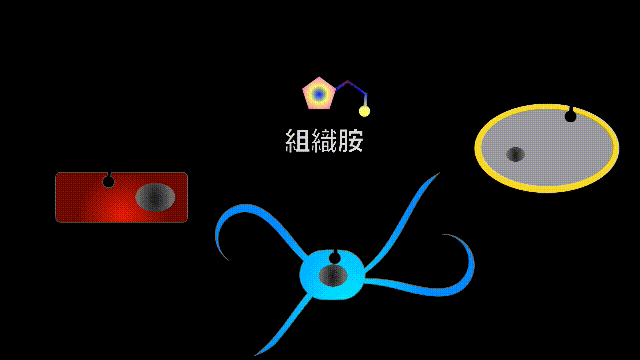 当你爆发过敏性鼻炎时，这就是你体内发生的故事
