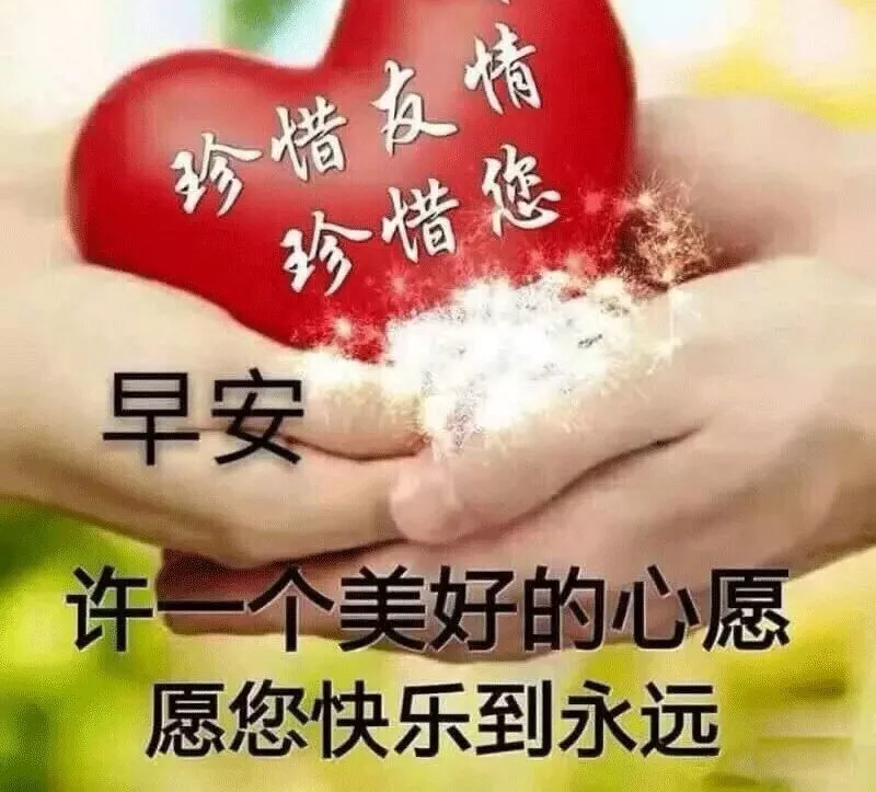 我们要学习向日葵，做一个积极吸收正能量的人，早安