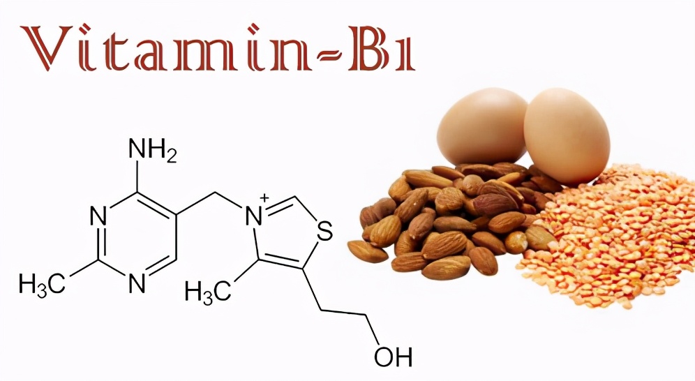 维生素B1缺乏和“脚气病”