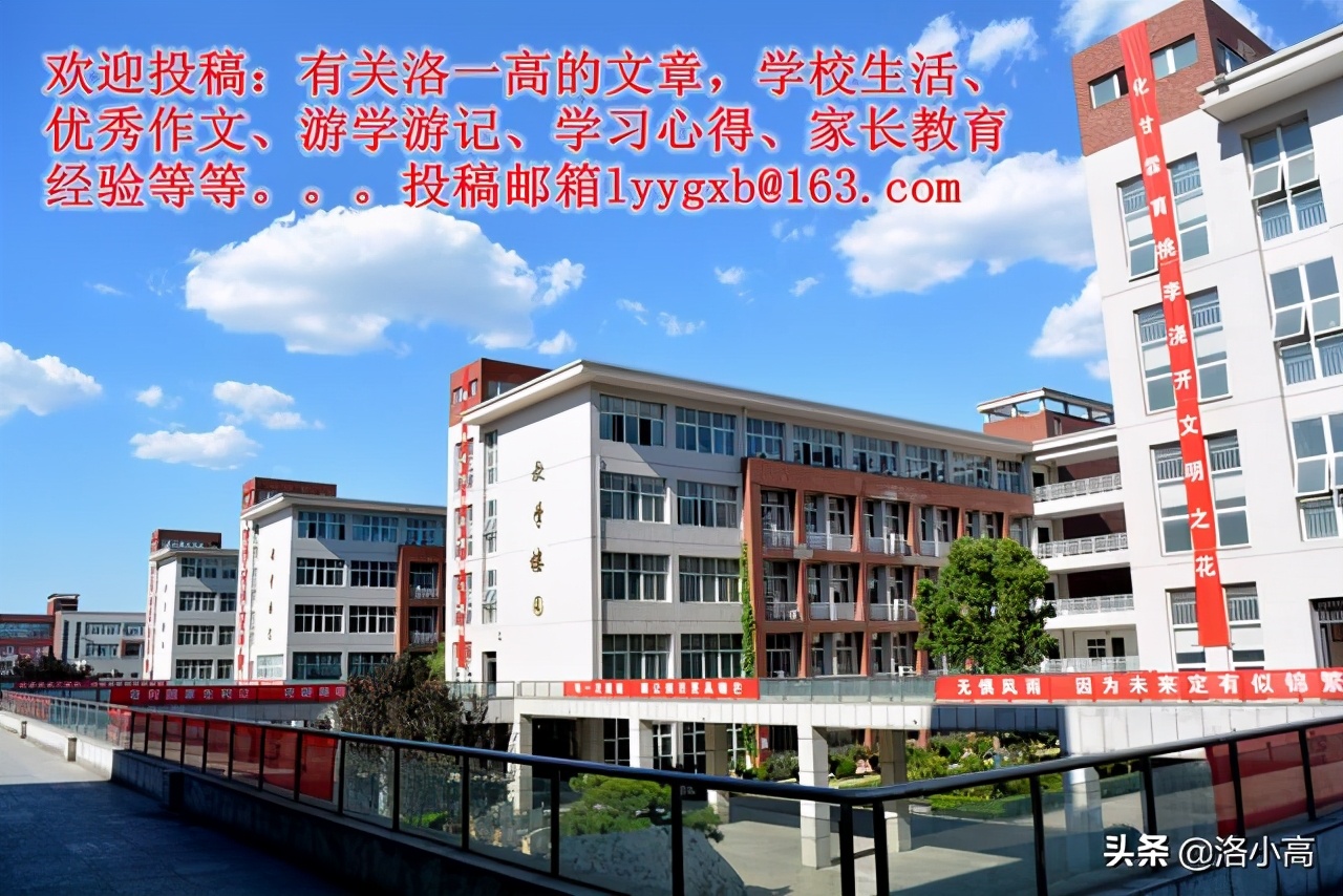 洛一高强基2班周记（9）