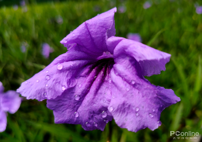 OPPO Reno2评测：稳如鸡头，适合vlogger的神器