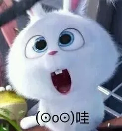 职校宿舍空调、游泳馆一应俱全，去省民政厅直属学校读书免学费