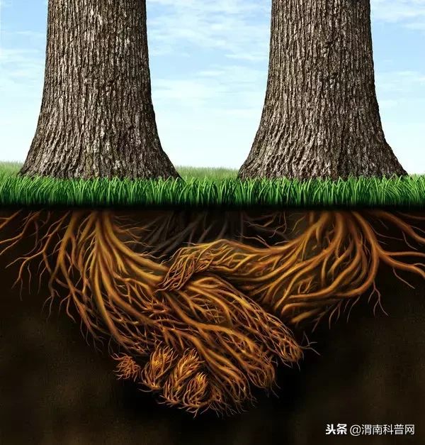 真心换真心，交友贵在真诚，莫交虚情假意之人，真朋友才值得一生相待。