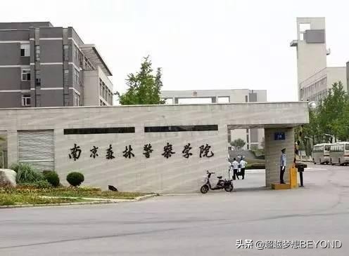 南京森林警察学院2020年全国各省录取分数统计
