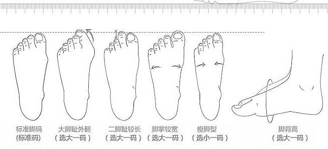 如何测量自己的脚有多大