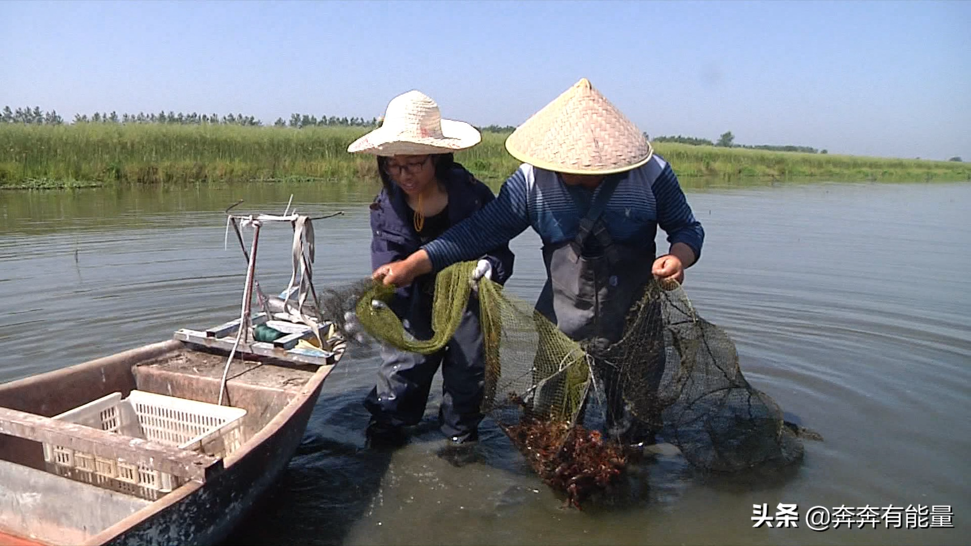 老章1人养88亩小龙虾，1天卖1万多，曾20天收回32万成本