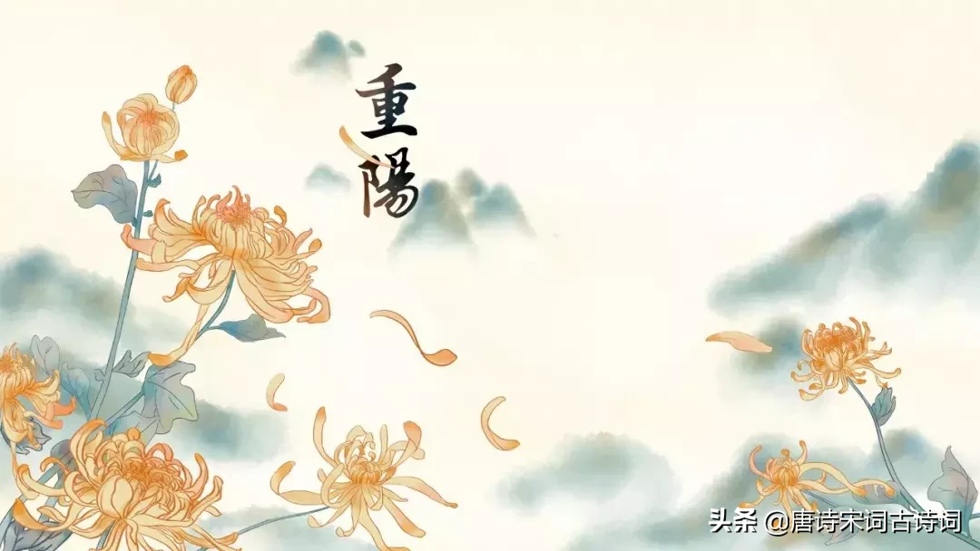 赏菊雅集：秋风送爽，共品菊香