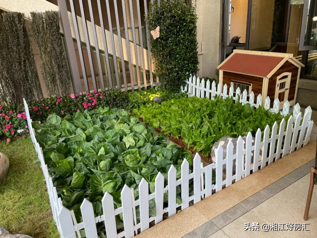 备受争议！把庭院搬进高楼，长沙的首个第四代住宅，就这？