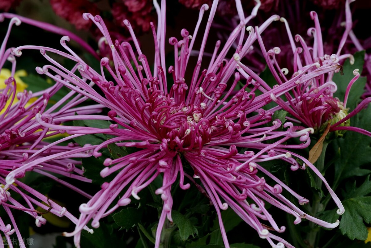 2021年山西财经大学录取分数