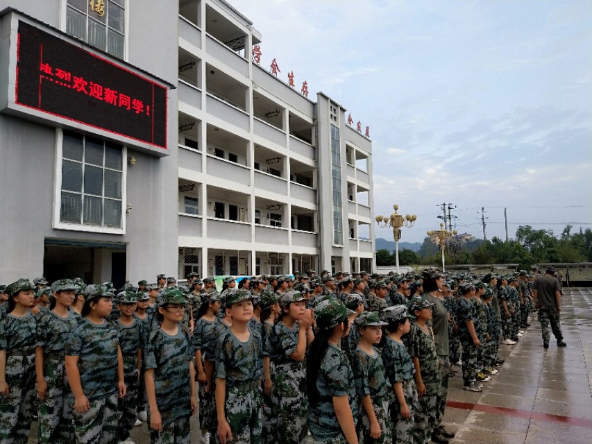 桐花万里丹山路， 雏凤清于老凤声