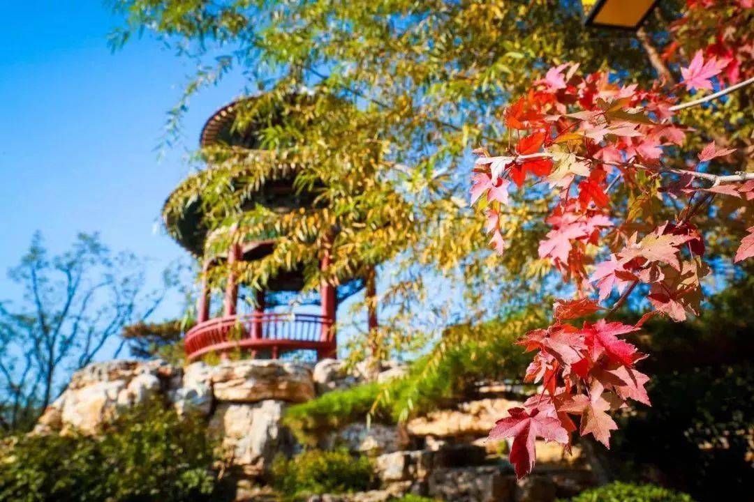 郑州这10个绝佳赏秋地，风景绝美，很多地方都还免费