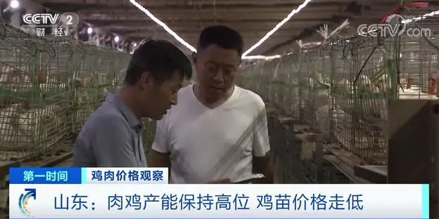 最低一斤不到7块钱!猪鸡牛羊肉价齐齐大跌!还会再降吗?