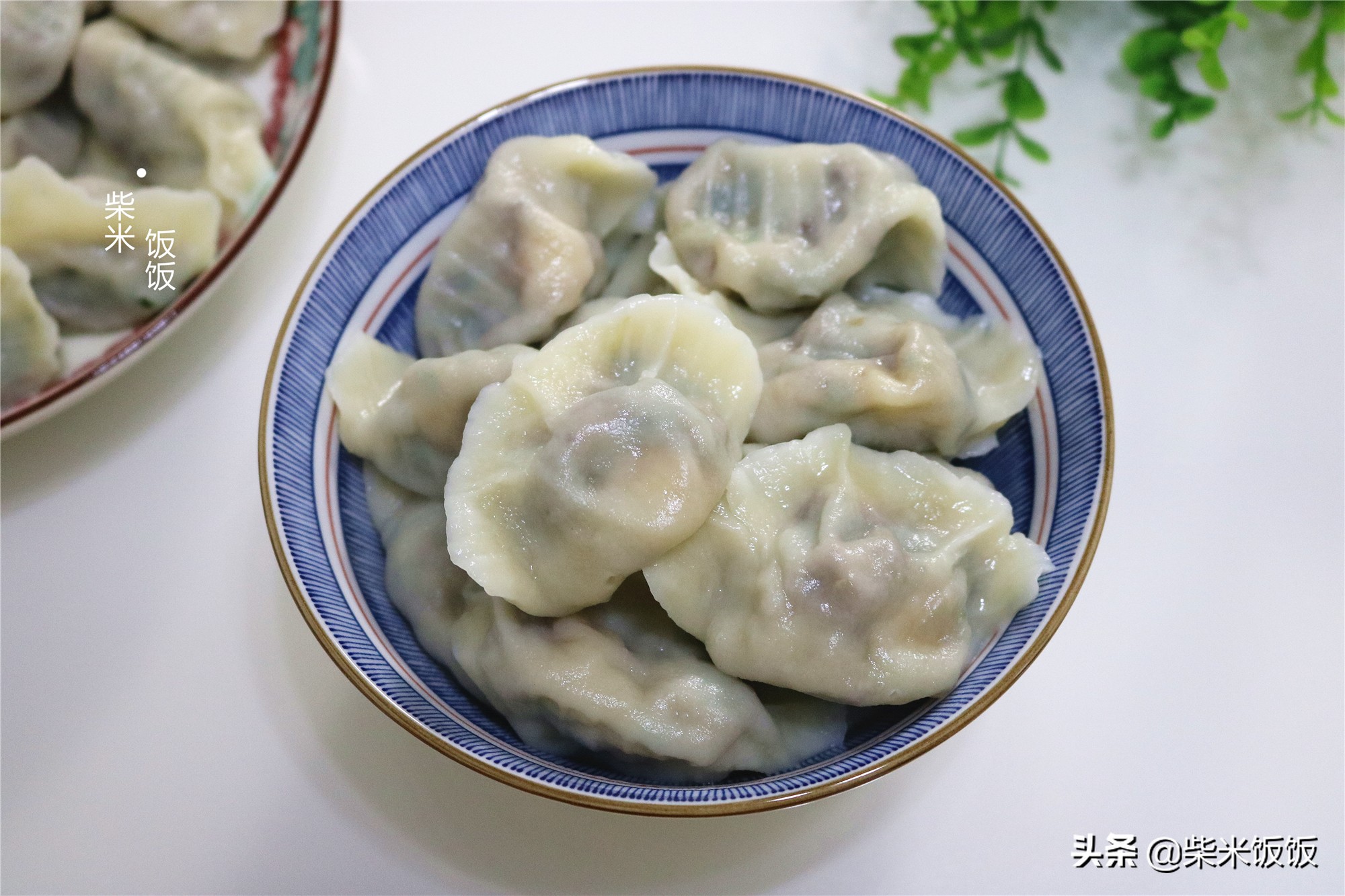 韭菜肉馅饺子怎么调馅(韭菜饺子)