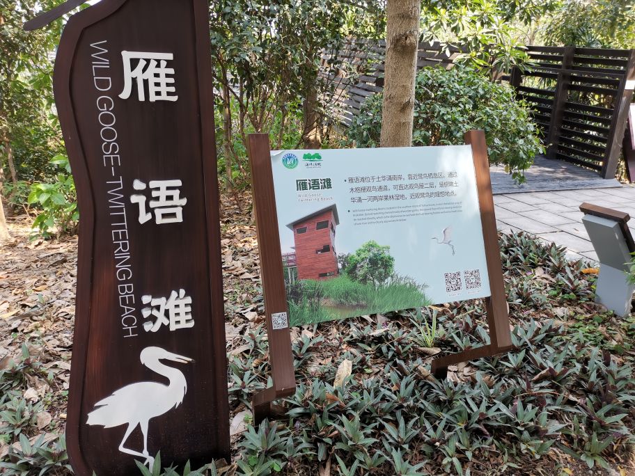 浓烈芬芳  春风十里赏花路  徜徉在广州海珠湿地的花海之中