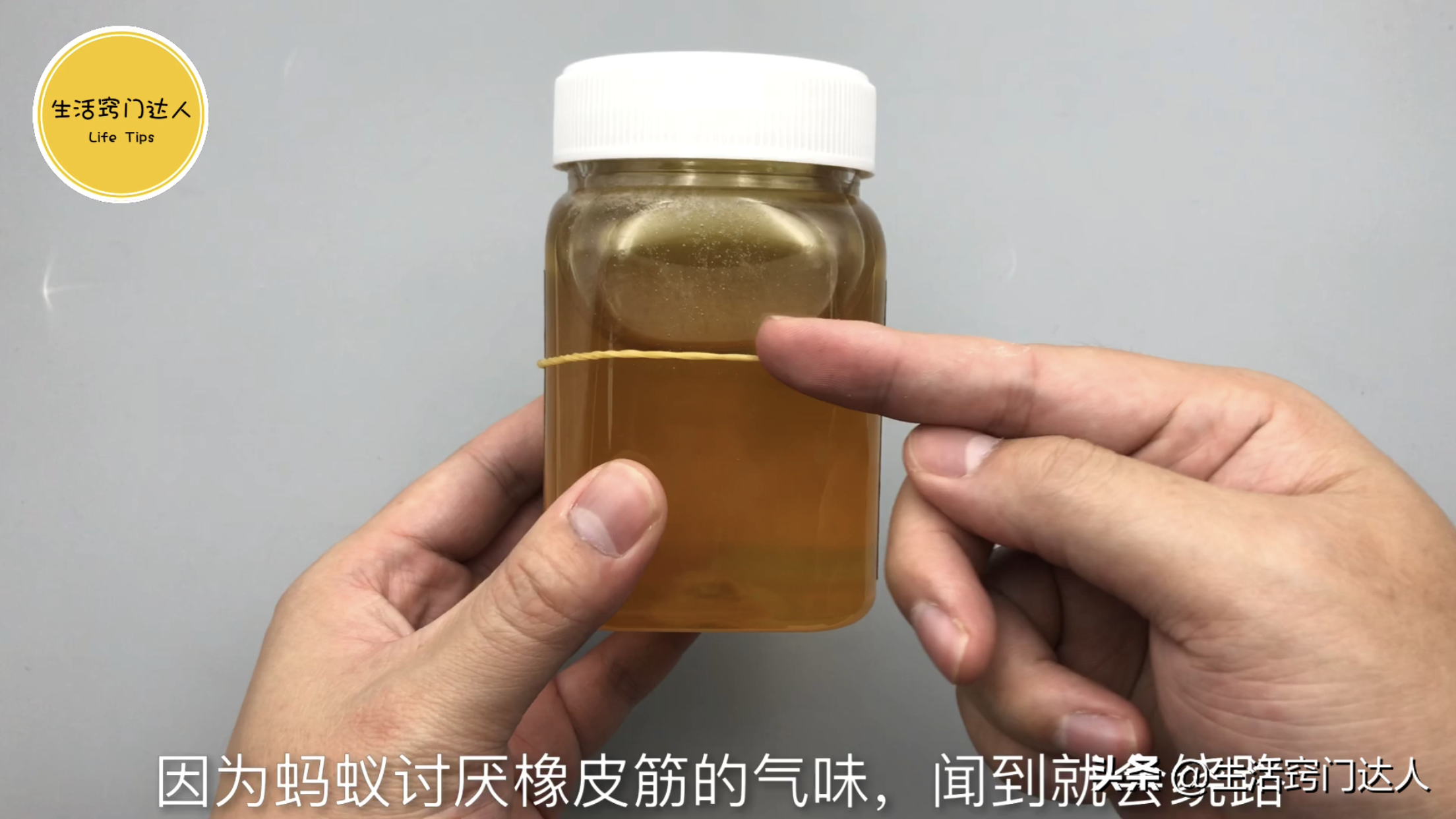 蚂蚁怎么消灭(灭蚂蚁用不到开水，把4样东西拌一拌，蚂蚁隔天就搬家，抓紧试试)