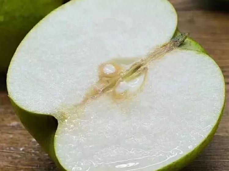 最全梨的品种图片（中国有名的10大名梨）
