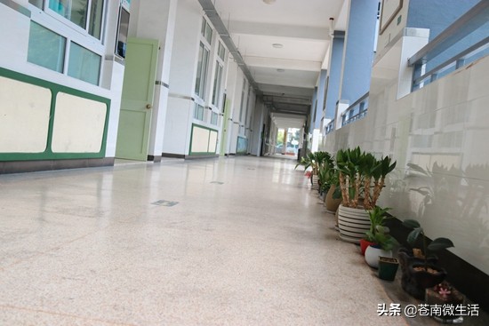 灵溪校园①</p><p>　　嘿！好久不见，甚是想念