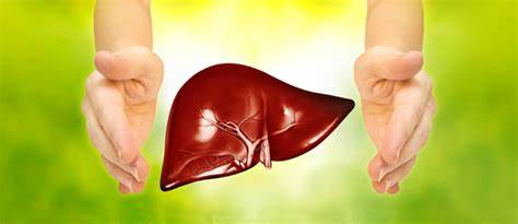 辟谣：护肝药能保护肝脏，使乙肝不发病吗？听听肝病医生怎么说