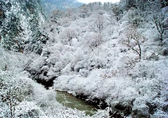 甘南的冬天，是4.5万平方公里的可能