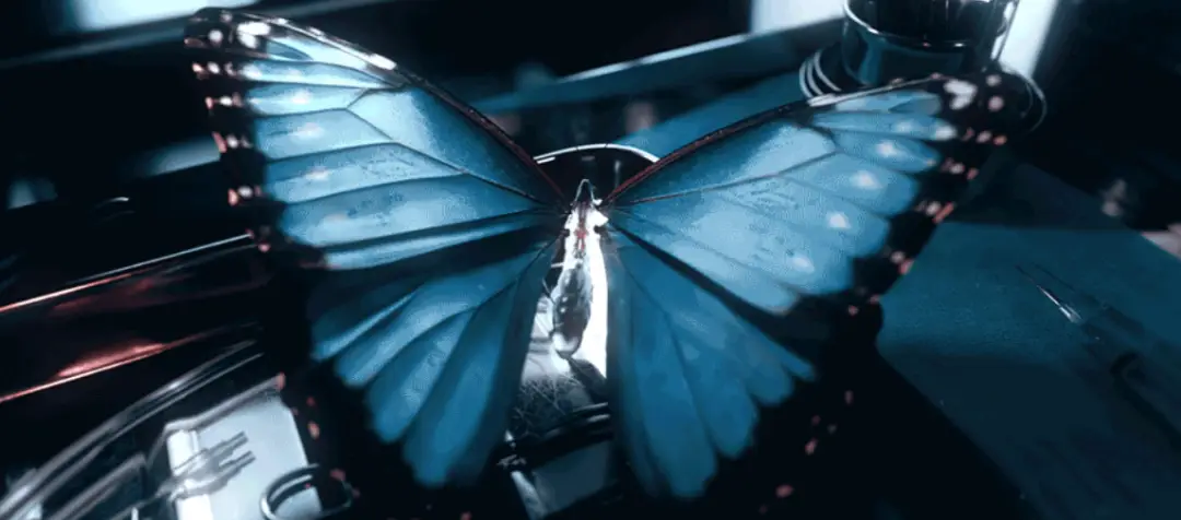 致命愿望豆瓣评分多少（致命愿望好看吗）