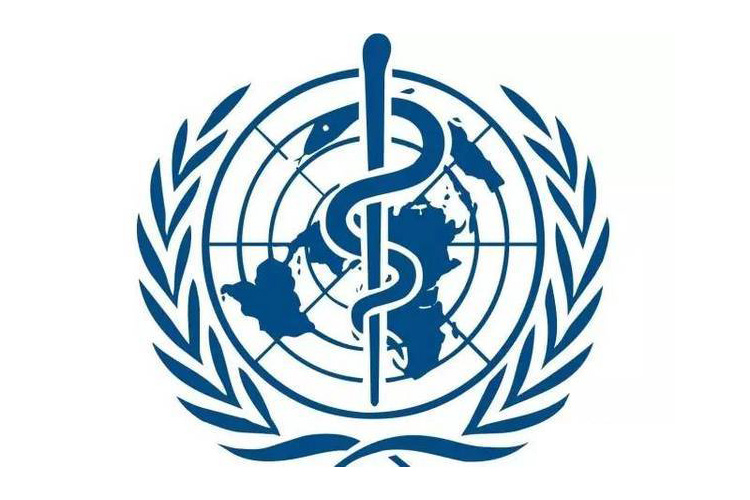 蛇缠剑的含义 _飞翔号