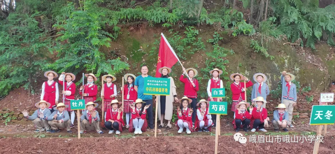 体验种植乐趣 探究中药奥秘