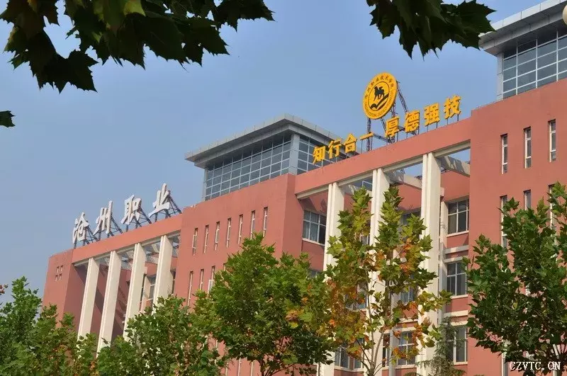 祝贺！保定这些学校获评省级项目单位，有你的母校吗