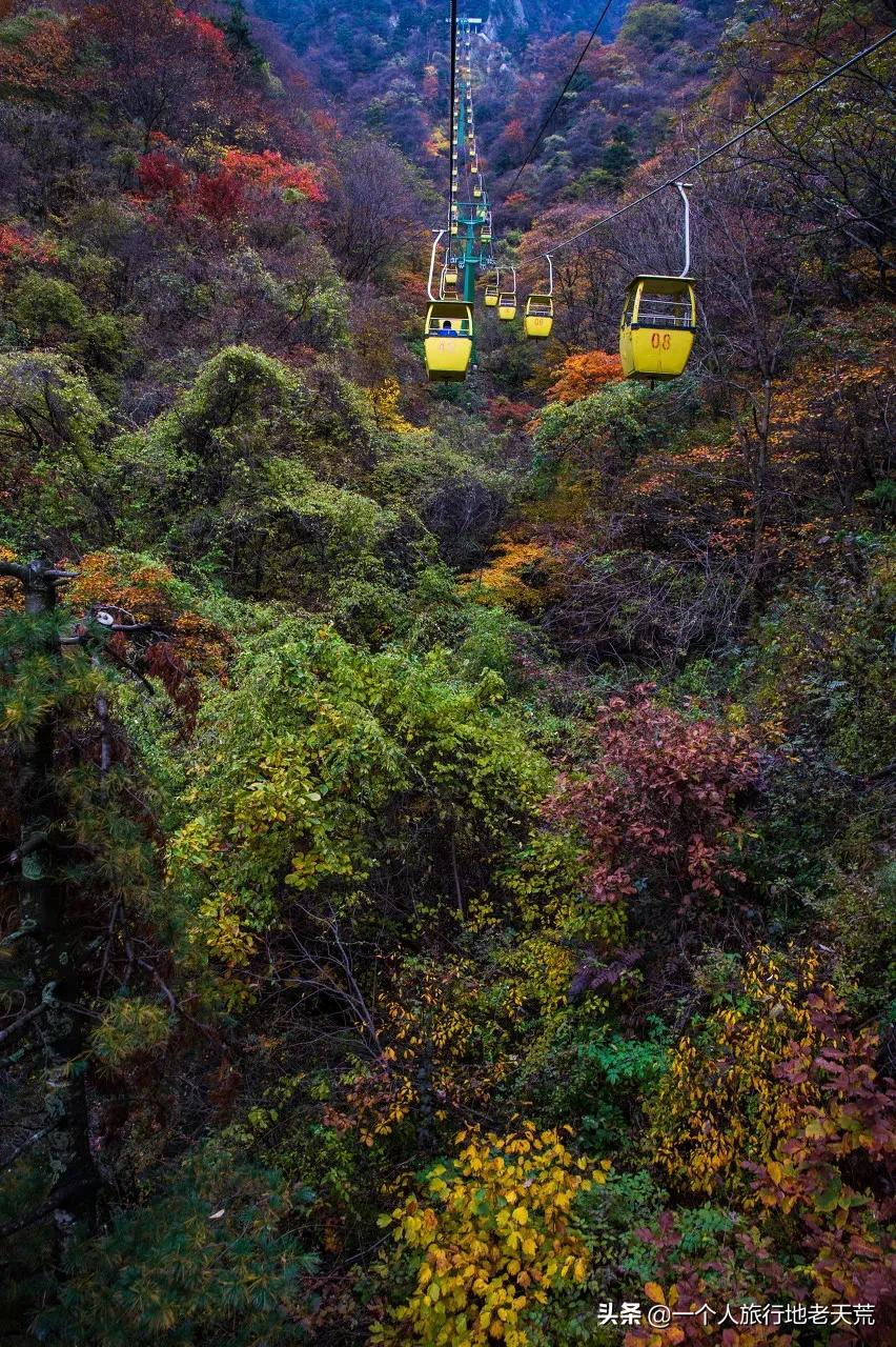 河南433家景区免票！这6条超宝藏的自驾线路，带你领略最美河南