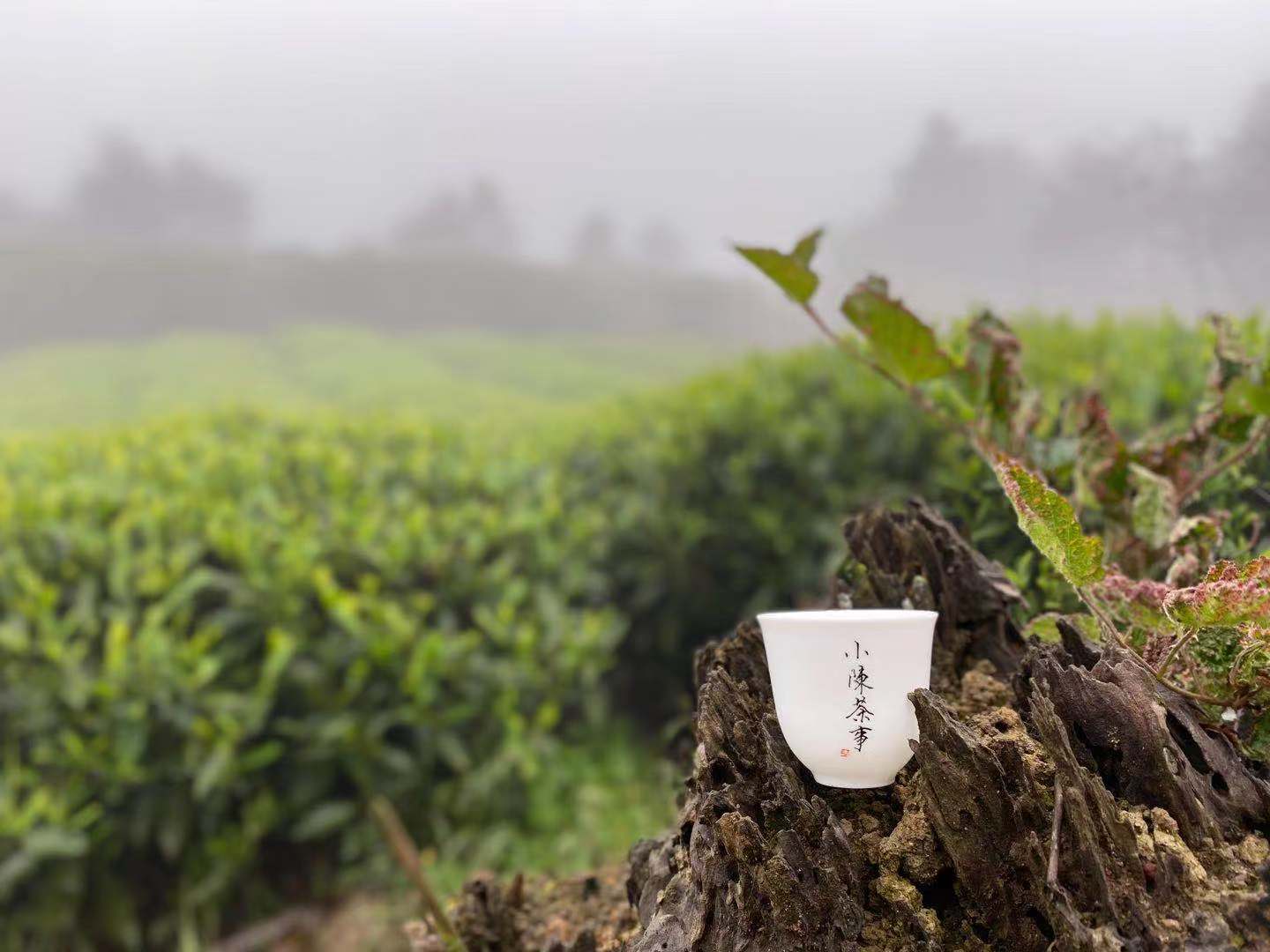 6个原因告诉你，为什么老茶客煮茶滋味甘醇，而你的却苦涩不堪