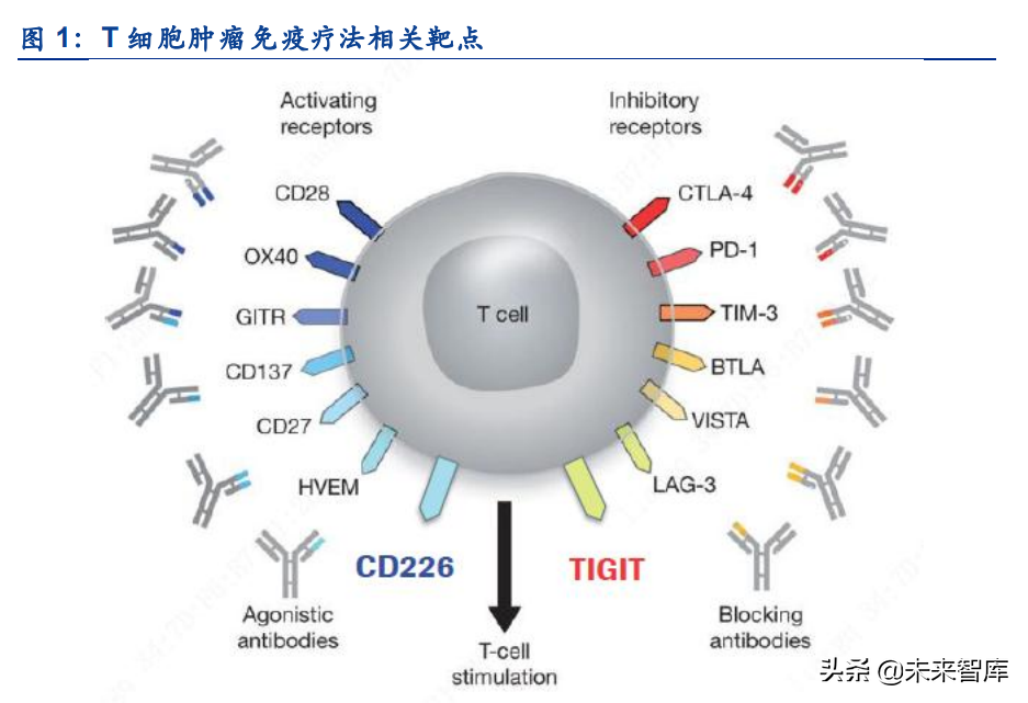 医药行业CSCO+ESMO2021分析：研发热点、临床数据及竞争格局解读