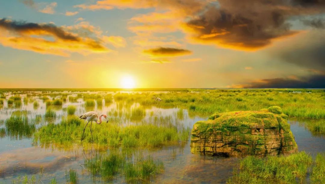 68句经典古诗文，助你写出漂亮的年终总结！（收藏了慢慢用）