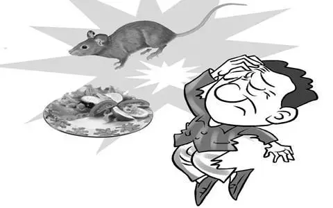 西安一学生因老鼠肆虐致死，老鼠引起的出血热不容小视！