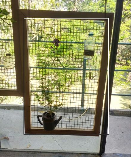 铁丝网和木板制作阳台垂直花墙，玻璃罐变成植物吊盆