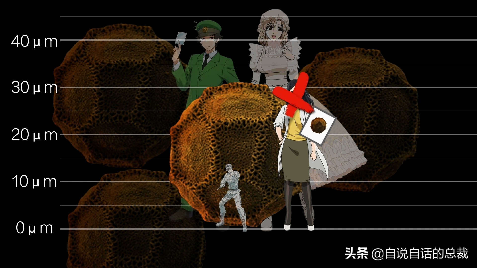当你爆发过敏性鼻炎时，这就是你体内发生的故事