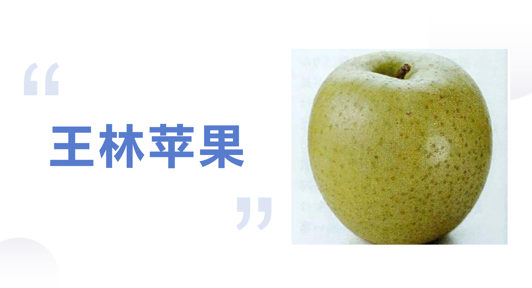 37个知名苹果品种，有的已被淘汰，有的老而弥坚，你认识几个？