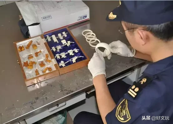 象牙黑市被曝光!进货克价7元,转手赚几十倍……
