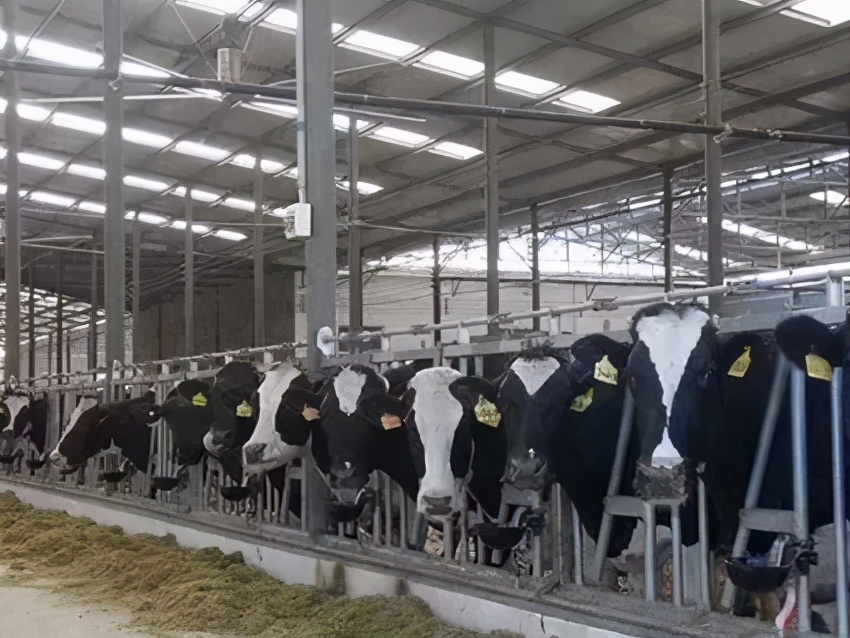 遇见春天 感受牧场生命能量—洛阳东外小学部研学系列活动（二）