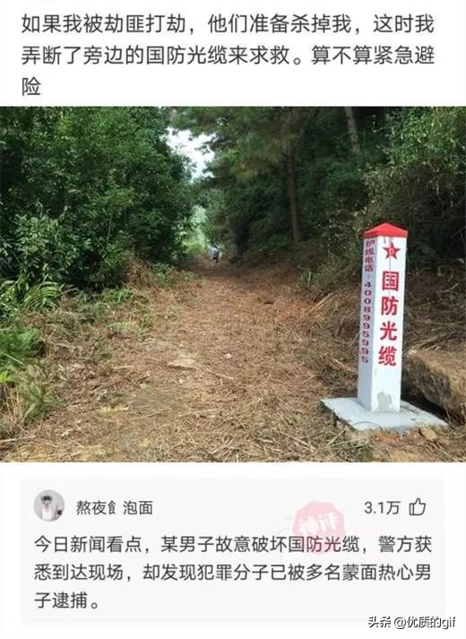 “大哥这驾照，我也是佩服了，警察叔叔都看懵了！”哈哈哈