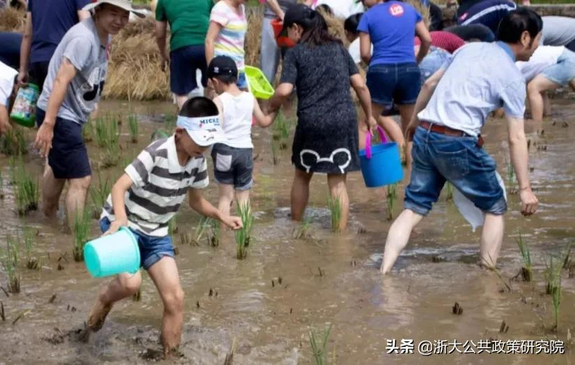 摸鱼的梗出自哪里（详解1个网络流行梗的出处）