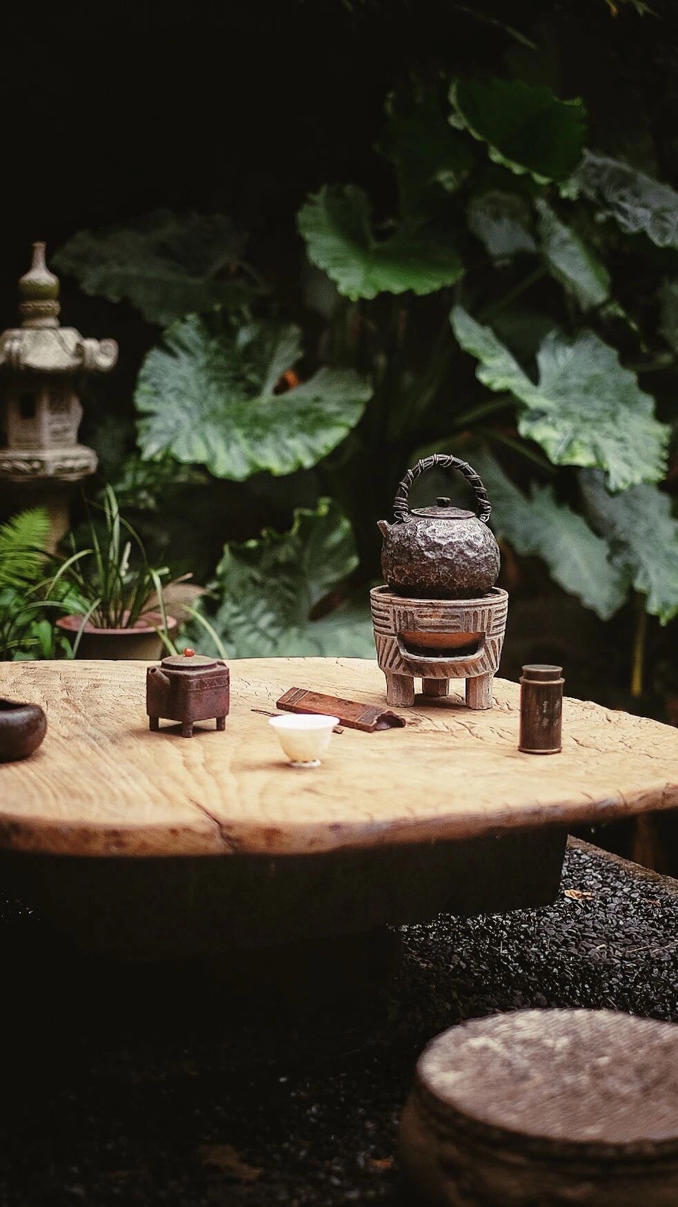 余生，我愿一院，一狗，一爱人携手伴终身
