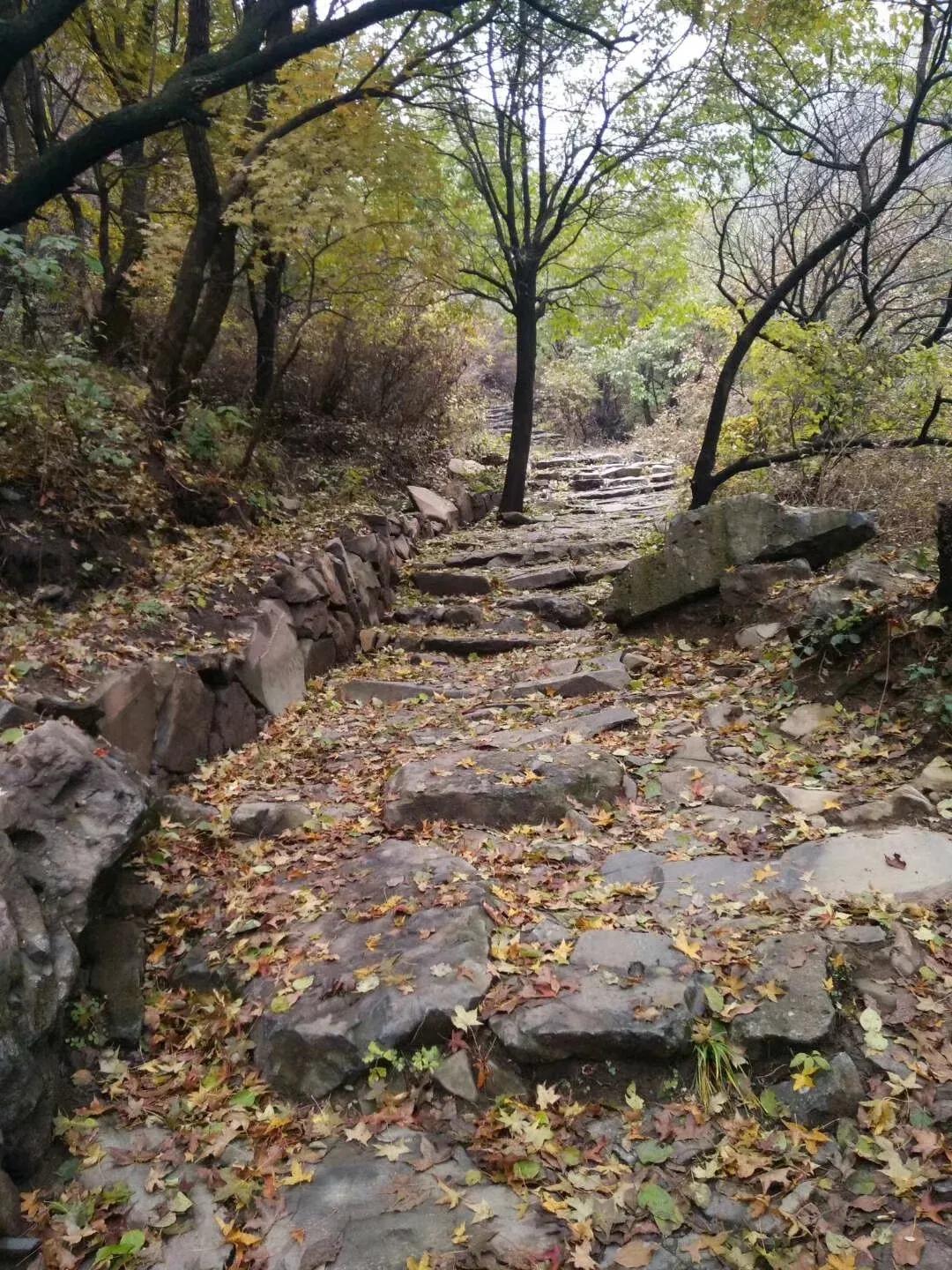 盗墓小说《鬼吹灯》，“鬼吹灯”一词，居然出自杜甫诗句