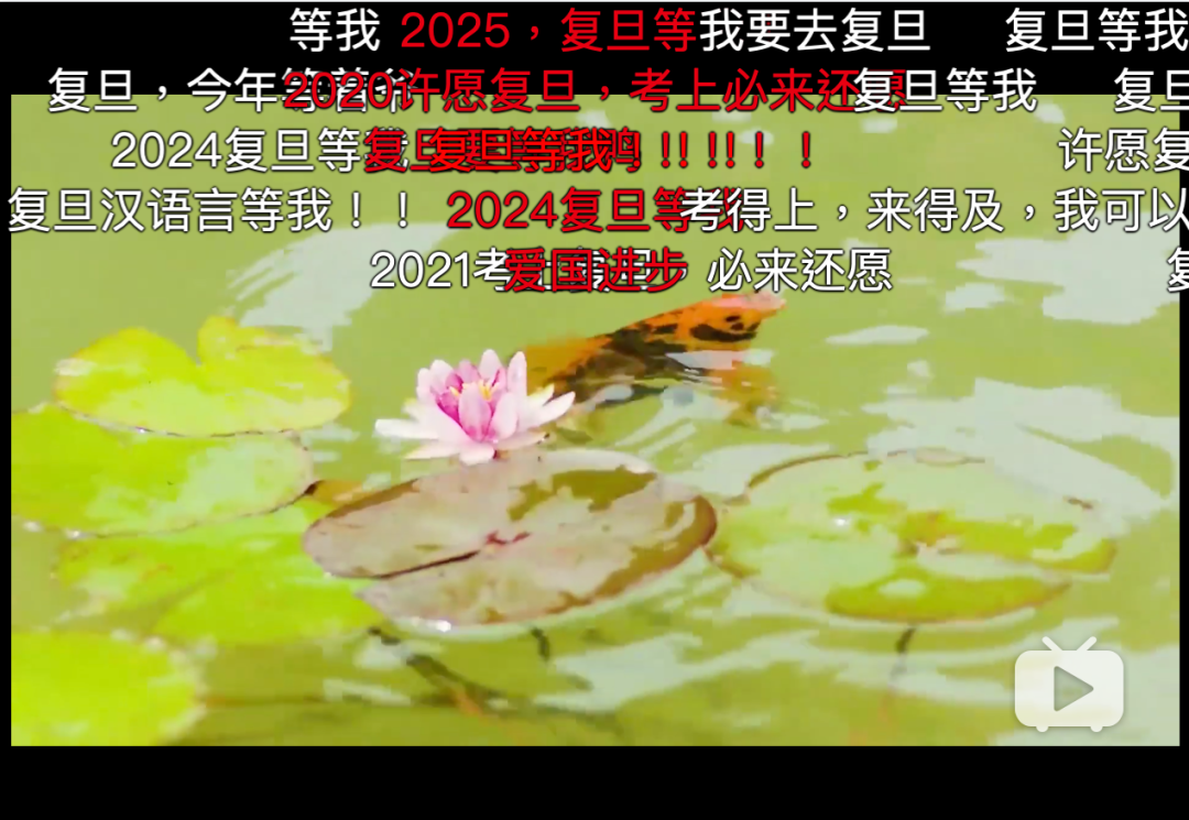 ​四川大学火了之后，我们另外给你推荐这6部绝美大学宣传片
