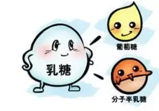 宝宝吃奶拉肚子，你有没有考虑过是乳糖不耐受？