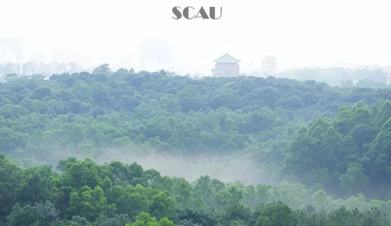 广东特殊的10所大学！全是女生、全免学费？—学思行高考志愿填报