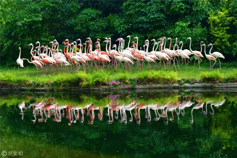 长隆欢乐世界旅游攻略景点必去（三天三夜欢乐长隆之旅）